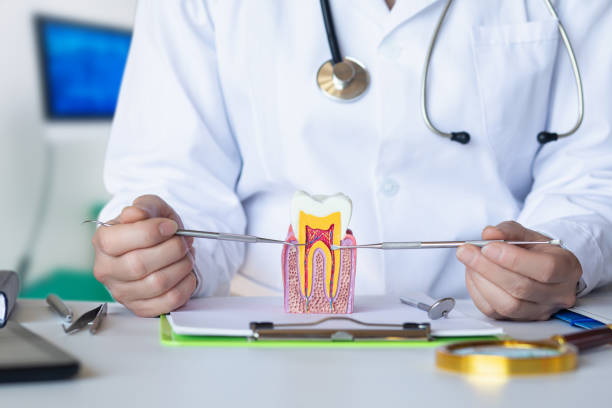 Best Emergency Broken Tooth Repair in Hanscom Af, MA